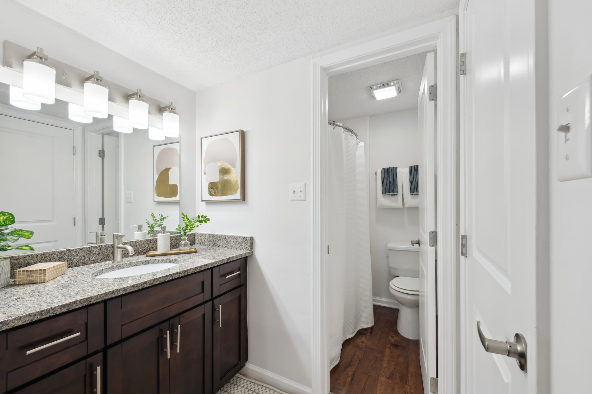 bathroom with wood-style flooring and cabinets